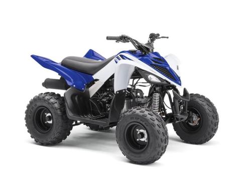 Yamaha YFM90R, RAPTOR ATV